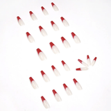'ANNO DOMINI' CLAWS