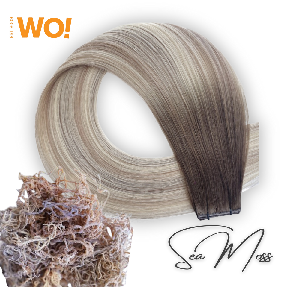 FBW* LUXURY PU INVISI BUTTERFLY Hole Weft Double Injected 1 PIECE (30cm)  - 22 INCHES 50g