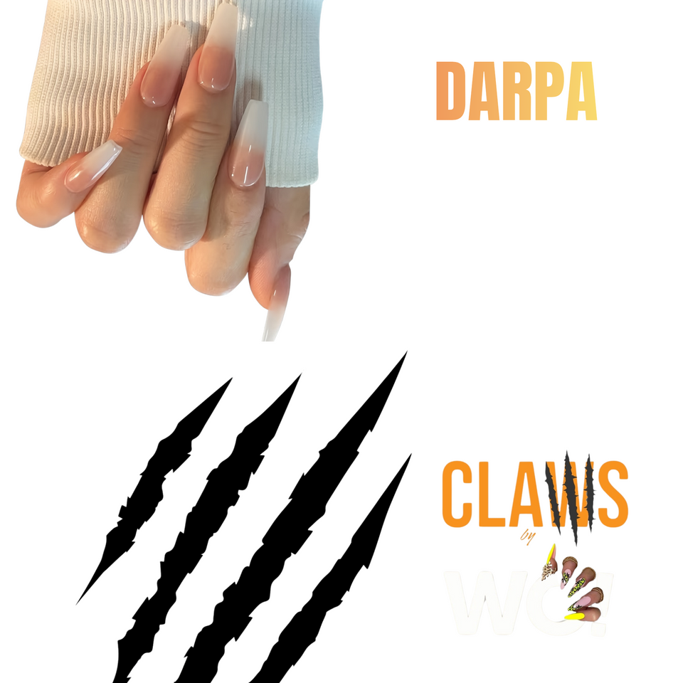 'DARPA' CLAWS