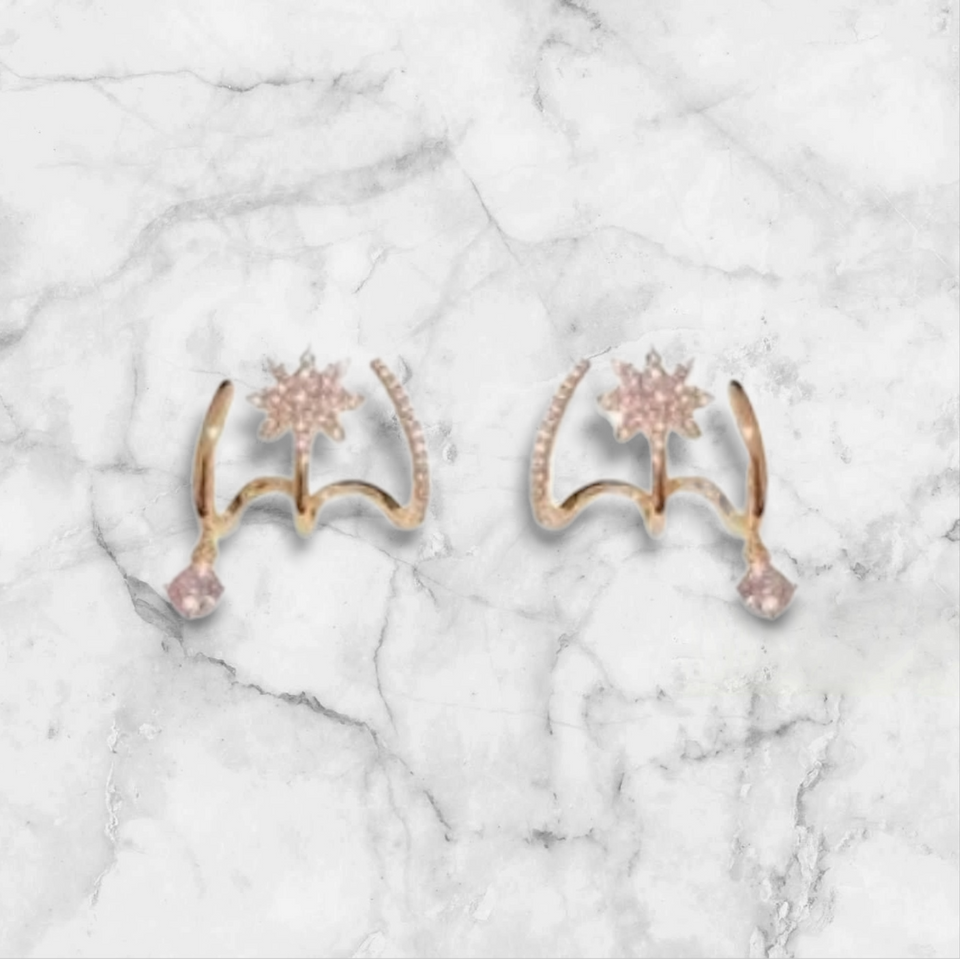 'STAR TRAIL' Claw Studs